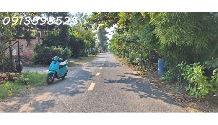 Xử lý nợ cần bán lỗ 2000 m2. giá 300tr đường 8m, nhà nhỏ vườn cây trái.
