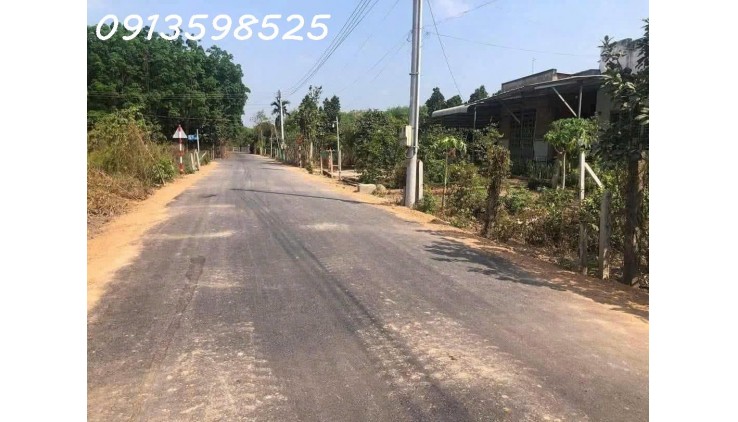 Xử lý nợ cần bán lỗ 2000 m2. giá 300tr đường 8m, nhà nhỏ vườn cây trái.