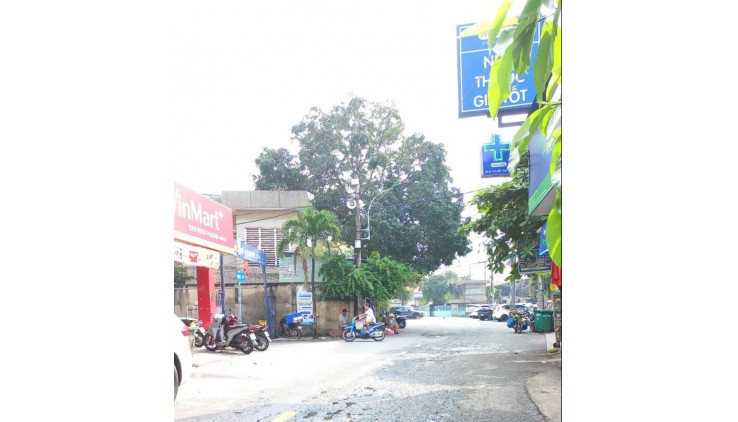 Bán gấp căn Nhà cấp 4 mặt tiền kinh doanh đường Thủy Lợi, Phước Long A, Q9,