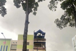 ** SIÊU HIẾM-LÔ GÓC ĐẤT VUÔNG,56M2-NGANG GẦN 6M,Y TRUNG TÂM Q1-13.9TỶ