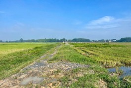 1 XẸC - HẺM XE HƠI☘️BÁN NHÀ 3 TẦNG✨3PN,LÊ VĂN THỌ,P11 GÒ VẤP, 5.X TỶ