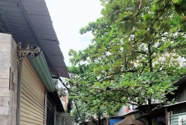 Bán nhà hxh 64m2-2tang Tân Thới Hiệp 21 QUẬN 12 ,liền kề Mega Market , 3 tỷ nhỉnh 0932030061
