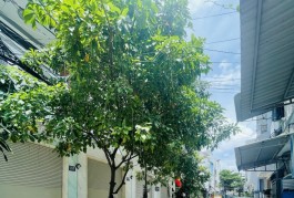 Bán nhà HXH 4T gần chợ Tân Hương, trường học, AEON 79m2 nhỉnh 5tỷ