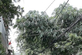Nhà HXH Tân Kỳ Tân Quý, Q.T.Phú gần AEON  4T ST giá chỉ 6 tỷx còn TL