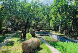 kẹt tiền  bán lỗ 3500 m2. giá 310tr đường 10m, có nhà vườn nhỏ.