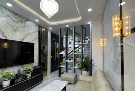 Nhà đẹp hiện đại 4x17 ngay Bùi Minh Trực chỉ 8 tỷ 2