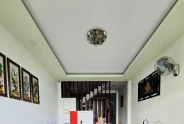 PHƯỜNG VIP TÂN SƠN NHÌ - HXH TƯƠNG LAI ĐƯỜNG 20M - 64M - 3 TẦNG - 4PN NHỈNH 7 TỶ