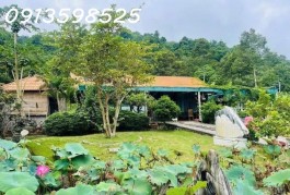 Nhà vườn nghỉ dưỡng 1500M2 bán đủ 290TR, có nhà vườn cây trái Sổ Sẵn lh: 0913598525