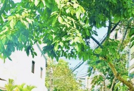 GIẢM 1 TỶ - MẶT TIỀN KINH DOANH KHU BÀN CỜ HỌ LÊ - 2 TẦNG 44M2 NHỈNH 6 TỶ TL