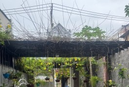Mặt tiền Mai Hắc Đế 5x30 chỉ 11 tỷ 5