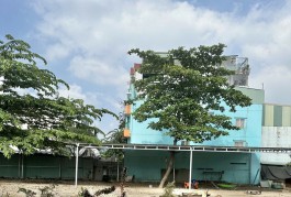 Bán đất thổ cư ngộp HXT đường số 18, Bình Hưng Hoà, Bình Tân, 4876m2, đã làm đường 10m