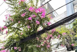 Bán nhà 294/ Xô Viết Nghệ Tĩnh Phường 21 Quận Bình Thạnh DT 4.5 x 15m Giá 12.9 tỷ
