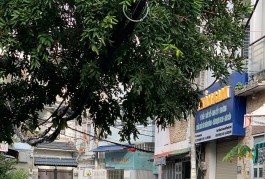 Bán 294/36-38 Xô Viết Nghệ Tĩnh Q.Bình Thạnh, DT 6x20m, Giá 16.2 tỷ