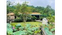 Cần bán gấp 3500 m2, đường 12m , giá 310tr. có nhà và vườn trái cây