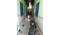 Bán nhà trọ 18 phòng, 200m², sổ hồng hoàn công, 6.5 tỷ - đường 8, Linh Xuân