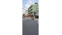 Bán Nhà Mặt Tiền Đường Út Tịch, P.4, Q. Tân Bình, 7.9m x 6.5m, Chỉ 10.5 Tỷ