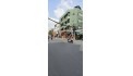 Cần bán nhà mặt tiền đường Út Tịch, P.4, Q. Tân Bình, 7.9m x 6.5m, giá 10.5 tỷ