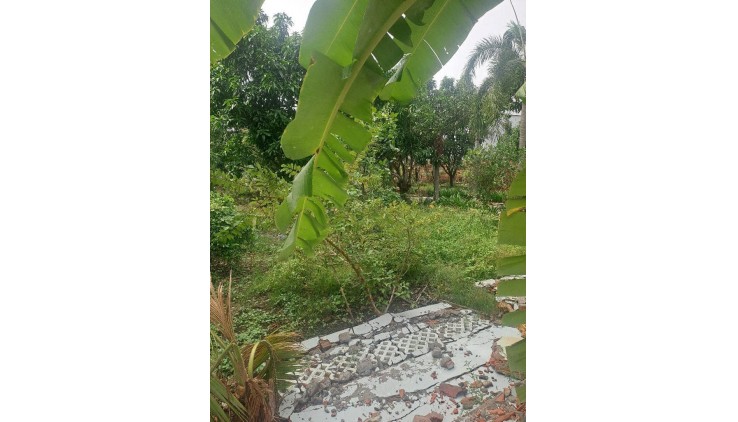 BÁN ĐẤT MẶT TIỀN VIEW SÔNG SÀI GÒN - KHU PHÂN LÔ AN PHÚ ĐÔNG - 105M2 (5.4x19) - ĐẤT TRỐNG FULL THỔ CƯ - GẦN ĐẠI HỌC NGUYỄN TẤT THÀNH - CHỈ NHỈNH 6 TỶ.
