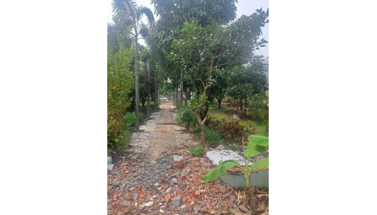 BÁN ĐẤT MẶT TIỀN VIEW SÔNG SÀI GÒN - KHU PHÂN LÔ AN PHÚ ĐÔNG - 105M2 (5.4x19) - ĐẤT TRỐNG FULL THỔ CƯ - GẦN ĐẠI HỌC NGUYỄN TẤT THÀNH - CHỈ NHỈNH 6 TỶ.