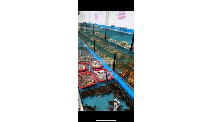 Quận Gò Vấp, Sang nhượng nhà hàng Buffet hải sản, Liên hệ: 0902888782 chính chủ