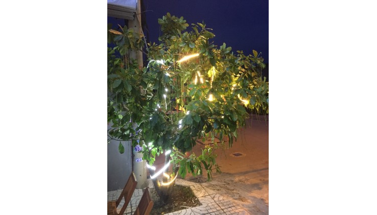 Cho thuê nhà nguyên căn 2 mặt tiền Đường 261 Võ Văn Hát, Long Trường, TP Thủ Đức.