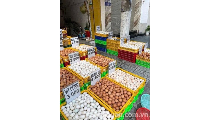 Cần hợp tác hoặc sang nhượng cửa hàng kd trứng đang hoạt động tốt