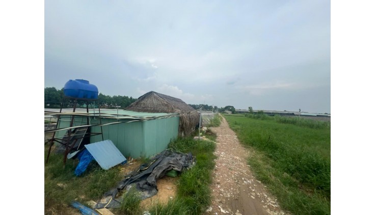 ĐẦU TƯ SINH LỜI - Chính Chủ Cần Bán Lô Đất Vị trí Đẹp Tại Xã Xuân Thới Thượng, Hóc Môn, HCM