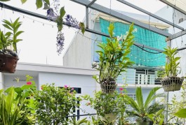 HXH vào nhà Nguyễn Cửu Đàm 60m2 Tân Sơn Nhì giáp Nguyễn Quý Anh, chỉ 6 tỉx