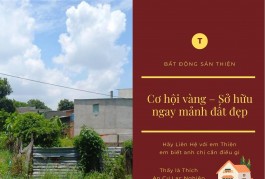Đất Bán Diện Tích Lớn 145m2, Không Quy Hoạch, Lộ Giới, Hiệp Thành Quận 12, Chưa Tới 3 tỷ