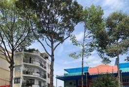 Khu An Đông Q5 Nhà Đẹp Hẻm Ôtô Tải né, 4Tầng CN49,5m2- Vị Trí Đẹp, Vào Ở Ngay.12TỶ Hơn