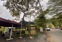 Chỉ 26 tỷ, 320m2 Đất Mặt Tiền khu Nam Long