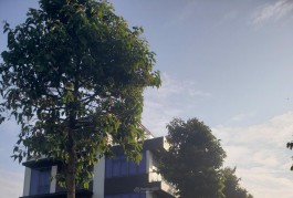Bán đất biệt thự Quận 9 Không gian sống đẳng cấp, đầu tư lợi nhuận cao.