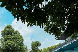 Biệt Thự 878m2 có 20 tỷ Bùi Công Trừng Nhị Bình Hóc Môn Tp. Hồ Chí Minh