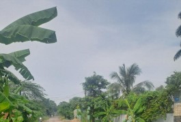 BÁN ĐẤT MẶT TIỀN VIEW SÔNG SÀI GÒN - KHU PHÂN LÔ AN PHÚ ĐÔNG - 105M2 (5.4x19) - ĐẤT TRỐNG FULL THỔ CƯ - GẦN ĐẠI HỌC NGUYỄN TẤT THÀNH - CHỈ NHỈNH 6 TỶ.