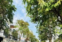 MẶT TIỀN KINH DOANH KHU BÀN CỜ HỌ LÊ - 4 TẦNG - 4.2X18.5 NỞ HẬU NHỈNH 11 ĐỒNG