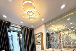 Nhà Đường Lý Thường Kiệt Phường 4 Quận Gò Vấp.