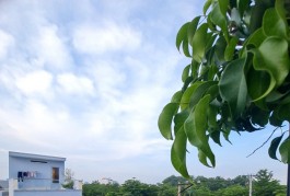 Còn duy nhất 1 phòng gần trường TĐT 10 phút 1344/10 Lê Văn Lương, P. pk Nhà Bè giá 2 triệu
