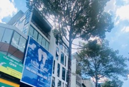 Cho thuê nhà MT 263 Nguyễn Chí Thanh, Phường 12, Quận 5