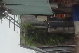 NỀN  ĐẤT THỔ CƯ MT ĐƯỜNG  P. THẠNH XUÂN , Q.12, HOCHIMINH