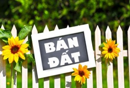CHÍNH CHỦ CẦN BÁN ĐẤT TẠI HUYỆN BÌNH CHÁNH- TP HỒ CHÍ MINH