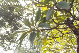 NTK-25.2-360
NHÀ CHUẨN ĐẸP-NGUYỄN SƠN-44,2 M2-2 PN-2PWC- HẺM RỘNG 3M