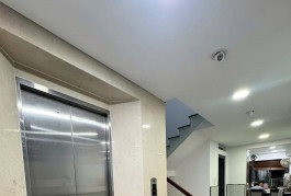 Bán nhà HXH  Bờ Bao Tân Thắng - ngay Aeon Tân phú, 4x20m, 5T -Thang máy 11.9 tỷ