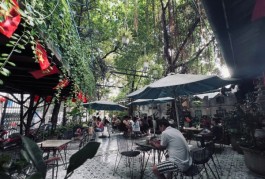 Gò Vấp ! SANG NHƯỢNG QUÁN Cafe S/VƯỜN 500m2 ( 20m x 27m ), MB thuê chỉ 37 tr / tháng, Liên hệ: 0962415393 ( Chính chủ )