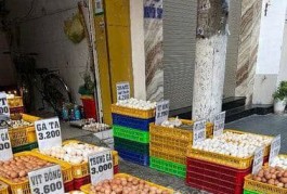 Cần hợp tác hoặc sang nhượng cửa hàng kd trứng đang hoạt động tốt