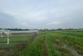 ĐẦU TƯ SINH LỜI - Chính Chủ Cần Bán Lô Đất Vị trí Đẹp Tại Xã Xuân Thới Thượng, Hóc Môn, HCM