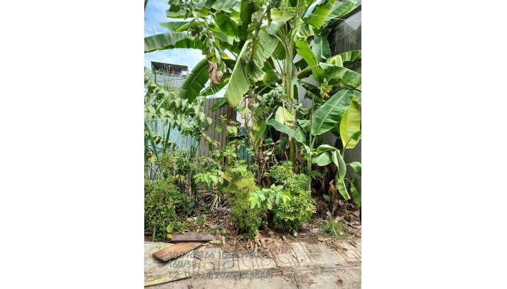 Bán gấp lô đất thổ cư 68m2, Q.9, đường Trường Lưu quận 9, 2.9 tỷ, sổ đỏ.