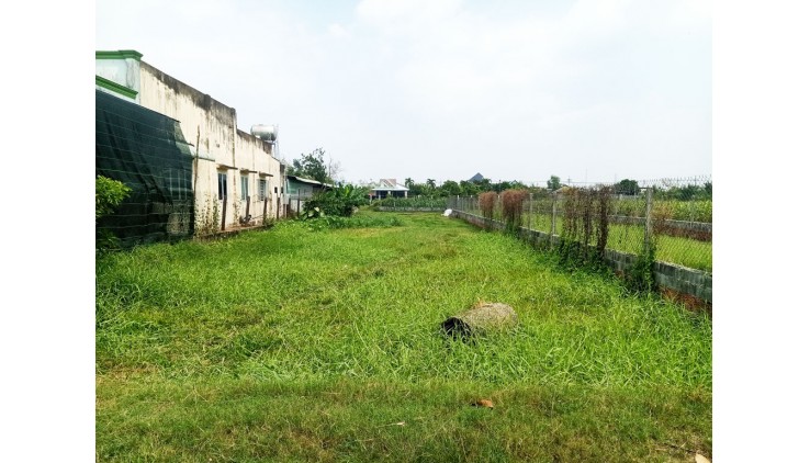 Bán đất thổ cư 784m² (11.5m x 64m), Nguyễn Thị Ngoạn, Trung Lập Thượng, Củ Chi, hướng Tây Bắc, 3.6 tỷ