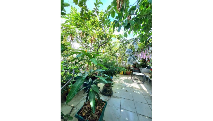 HIẾM NHÀ CHÍNH CHỦ - 65M2 - HẺM 5M - NHÀ NGON - P17 GÒ VẤP - NGUYỄN VĂN LƯỢNG - CẦN TIỀN GẤP BÁN - 7.15 TỶ - GARA ĐỂ XE HƠI - TL