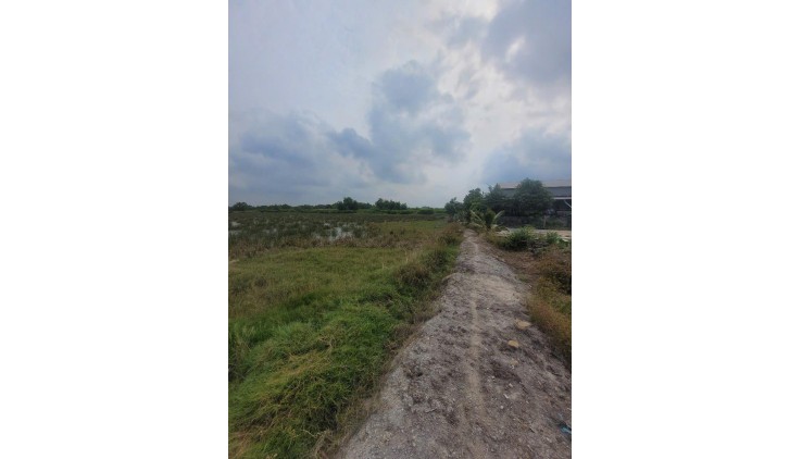 ĐẤT ĐẸP - GIÁ TỐT - Cần Ban Lô Đất Vị Trí Đắc Địa Tại An Thới Đông, Huyện Cần Giờ, TP Hồ Chí Minh