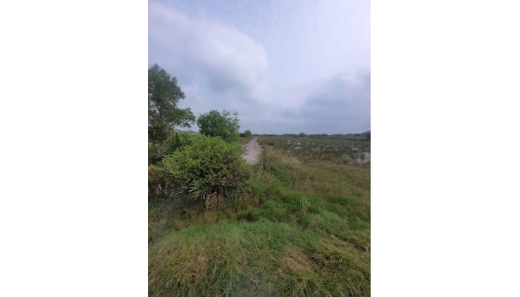 ĐẤT ĐẸP - GIÁ TỐT - Cần Ban Lô Đất Vị Trí Đắc Địa Tại An Thới Đông, Huyện Cần Giờ, TP Hồ Chí Minh